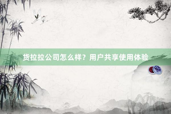 货拉拉公司怎么样？用户共享使用体验